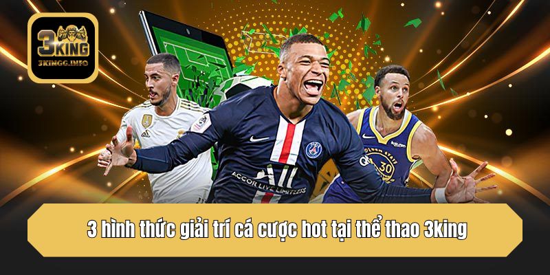  3 hình thức giải trí cá cược hot tại thể thao 3king