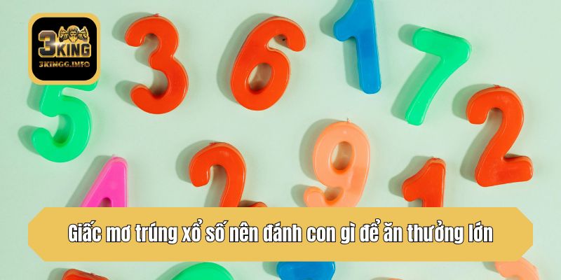 Giấc mơ trúng xổ số nên đánh con gì để ăn thưởng lớn?